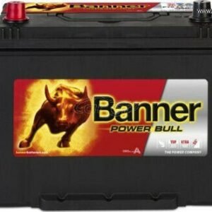 Banner Μπαταρία Αυτοκινήτου P7024 με Χωρητικότητα 70Ah και CCA 600A (p7024)